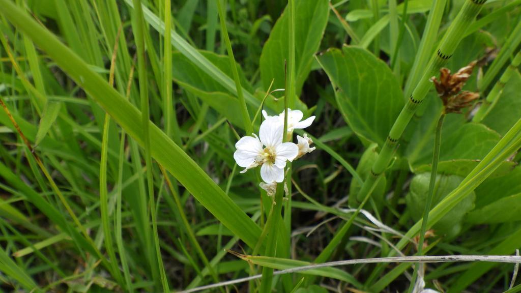 منزل الضيف Hokkaido  في Kiritappuri المظهر الخارجي الصورة