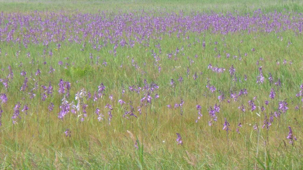 منزل الضيف Hokkaido  في Kiritappuri المظهر الخارجي الصورة