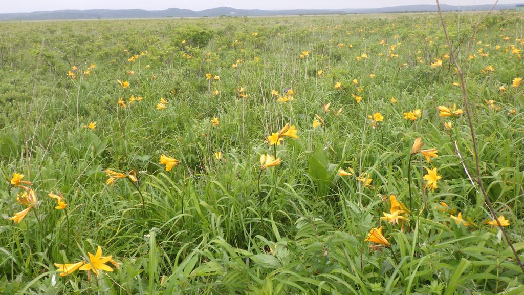 منزل الضيف Hokkaido  في Kiritappuri المظهر الخارجي الصورة